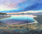 THE CAPE GALLERY